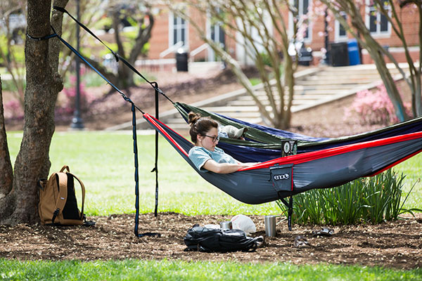 Hammock studying